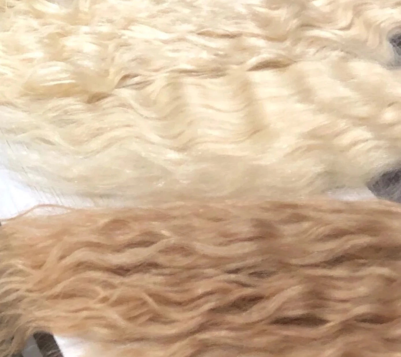 South Indian Blonde 4oz. Natural wavy